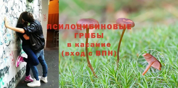 экстази Мегион