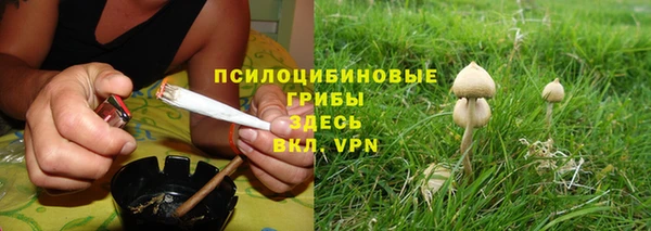 соль курить ск Медвежьегорск