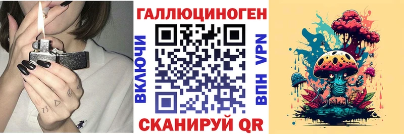 OMG ссылки  Устюжна  Галлюциногенные грибы Cubensis 